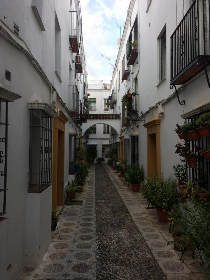 コルドバLujosa Vivienda En Plena Juderiaアパートメント エクステリア 写真